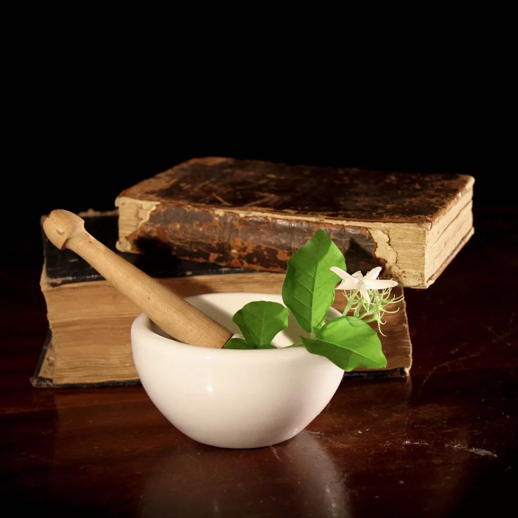 nature book wood vintage flower vase food produce ancient drink Naturo Jo